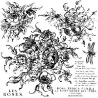 IOD Rose Toile