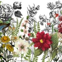 TRANSFER Midnight Garden – Bild 2