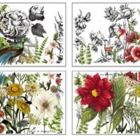 TRANSFER Midnight Garden – Bild 3